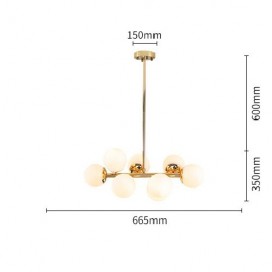 8 Light Modern/ Contemporary Chandelier with Glass Shade
