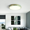 Modern Contemporary Round Stainless Steel Flush Mount Ceiling Light