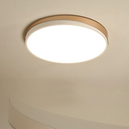 Modern Contemporary Round Stainless Steel Flush Mount Ceiling Light