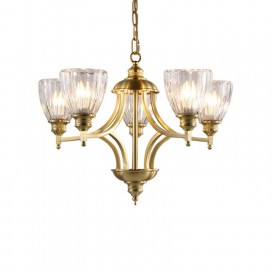 Fine Brass 5 Light Chandelier with Glass Shades