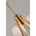 Fine Brass 6 Light Chandelier with Glass Shades