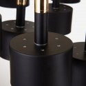 Modern/ Contemporary 12 Light Two Tiers Chandelier