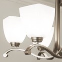 6 Light Modern/ Contemporary Chandelier with Glass Shade