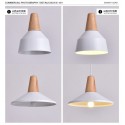 1 Light Modern/ Contemporary Wood Pendant Light