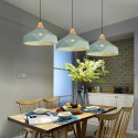 Wood 1 Light Modern/ Contemporary Metal Pendant Light Light