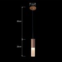 Modern/ Contemporary One Light Wooden Pendant Light
