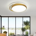 Golden Circular Flush Mount Modern Acrylic Ceiling Light Bedroom Living Room