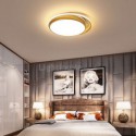 Golden Circular Flush Mount Modern Acrylic Ceiling Light Bedroom Living Room