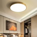 Round Flush Mount Modern Golden Acrylic Ceiling Light Bedroom Living Room