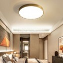 Round Flush Mount Modern Golden Acrylic Ceiling Light Bedroom Living Room