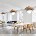 Metal Wood 1 Light Pendant Light