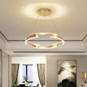 Irregular Ring Pendant Lamp Modern Acrylic Light Fixture Living Room Bedroom