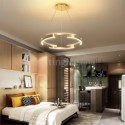 Irregular Ring Pendant Lamp Modern Acrylic Light Fixture Living Room Bedroom