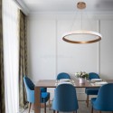 Ring Pendant Lamp Minimalist Acrylic Light Fixture Living Room Study Room