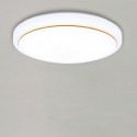 Round Flush Mount Simple Acrylic Ceiling Light Living Room Balcony