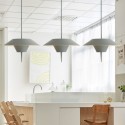 2 Light Modern/Contemporary Steel Pendant Light