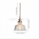 Dome Large Clear Ribbed Glass Pendant Light with Brass Holder Twist Switch