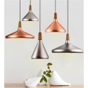 Modern/ Contemporary Metal 1 Light Pendant Light