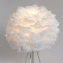 Creative Feather Table Lamp Desk Decorative Light