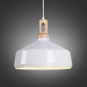 Modern/ Contemporary 1 Light Pendant Light