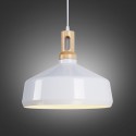 Modern/ Contemporary 1 Light Pendant Light