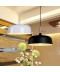 Modern/ Contemporary Wood Metal Pendant Light