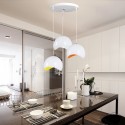 Modern/ Contemporary Pendant Light