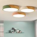 2 Light Modern/Contemporary Steel Ceiling Light